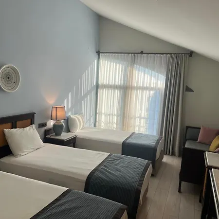 酒店 拉拉公园酒店 3*